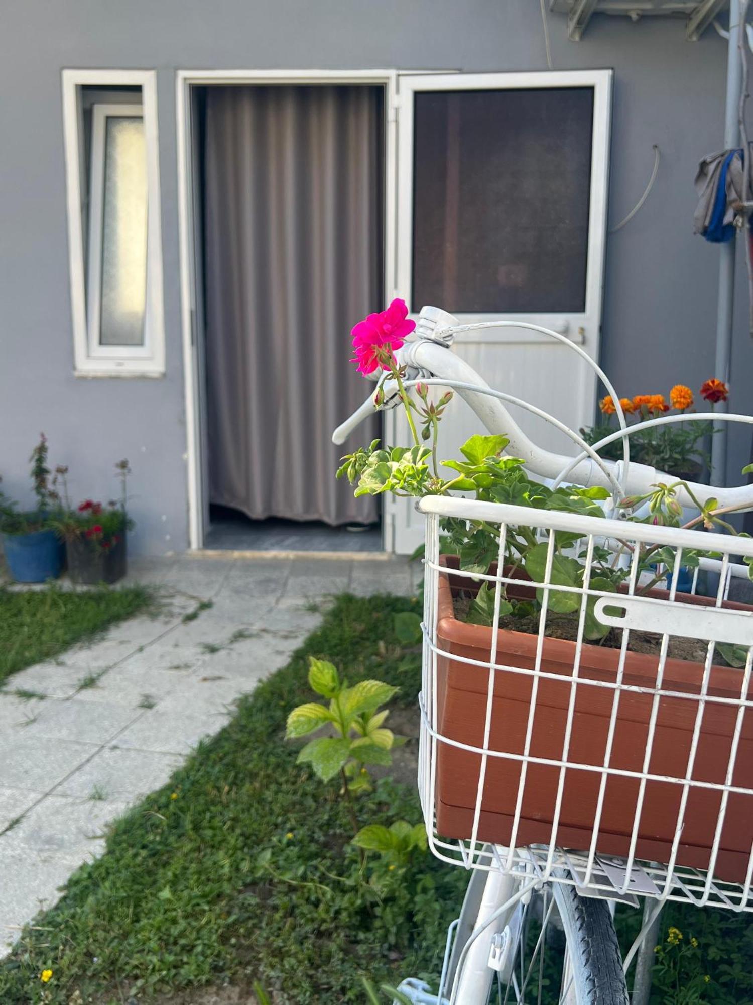 Happy Corner Guest House Shkoder Luaran gambar